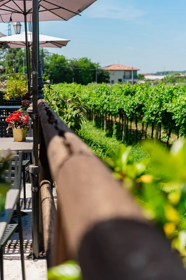 La veranda sulle vigne della Valpolicella